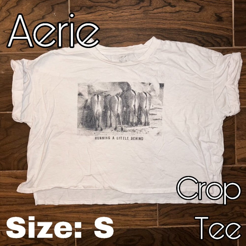 Aerie Cropped T-Shirt